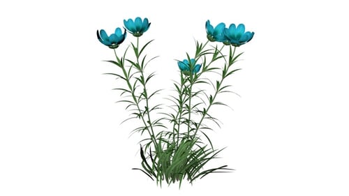 Swaying Blue Flowers and Green Plants with Transparent Background