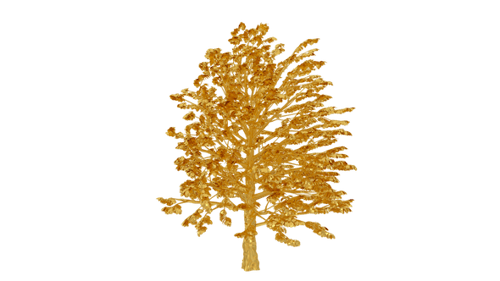 Golden Tree Growing Alpha Channel Animation