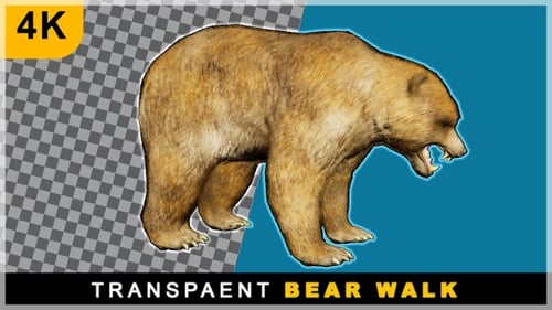 Realistic Brown Bear Walking Cycle