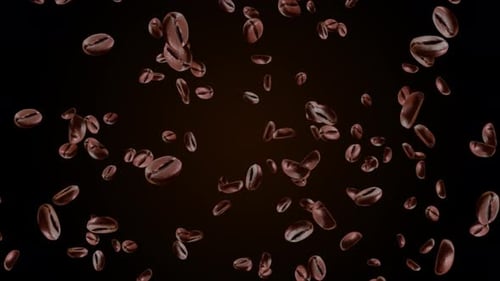 4k coffee rain beans rain coffee falling beans Green Screen Loop Animation Background.