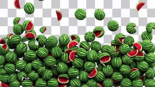 Falling Watermelon Fruit Fill Transition
