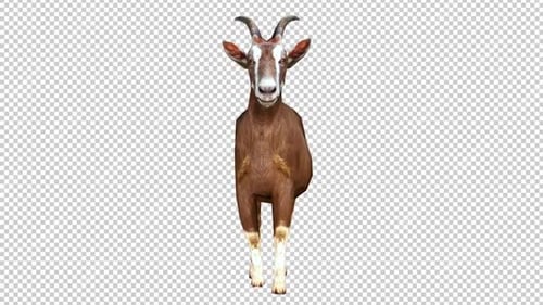 Boucle de vue frontale de Goat Walk
