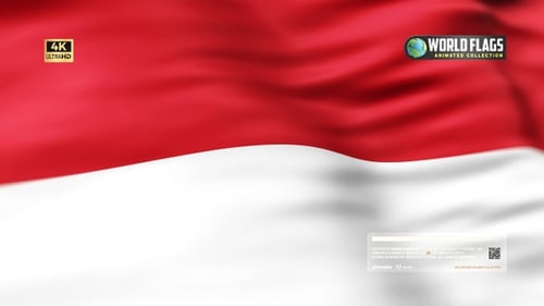 Red and White Waving Fabric Background Loop