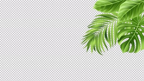 Swaying Tropical Leaves Animated Corner Border