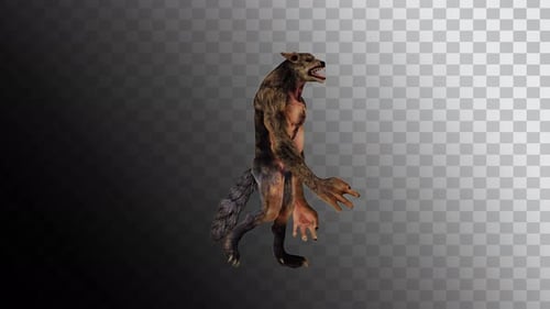 Animated Werewolf Walk Cycle on Alpha Channel