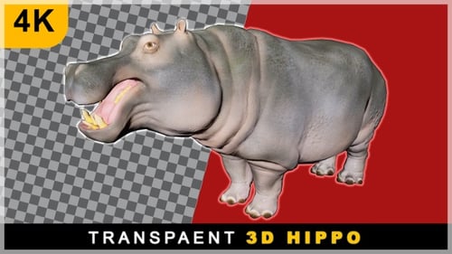 3D Realistic Render Cartoon Hippo Running On Transparent Background
