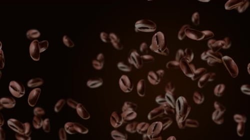 Brown roasted coffee beans falling and flying on black loop Animation green screen background.