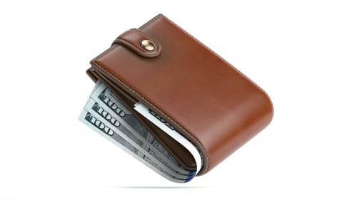 Spinning leather wallet with dollars isolated on white background. Financial, banking and payment
