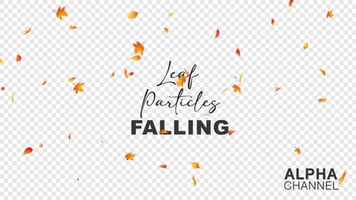 Falling Autumn Maple Leaves Overlay with Transparent Background