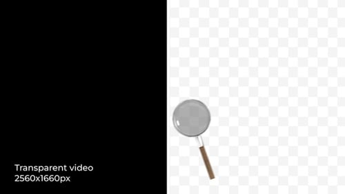 Magnifying Glass Animation (2K, Transparent)