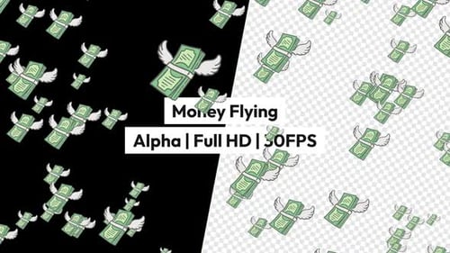 Money Flying with Alpha