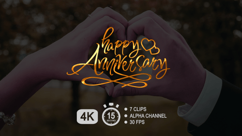 Elegant Calligraphic Happy Anniversary Text Animation