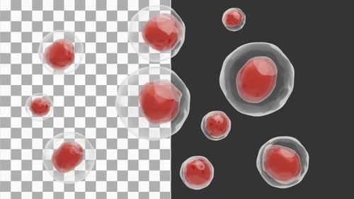 3D Animation of Viruses or cells in the blood | Alpha Channel