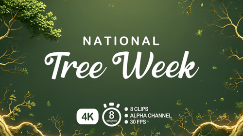 Elegant Tree Week Metallic Text Reveal Animation