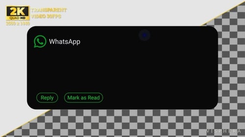 Dynamic Island Notification WhatsApp