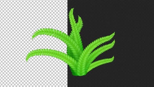 Dynamic Green Fern Plant Growth Animation