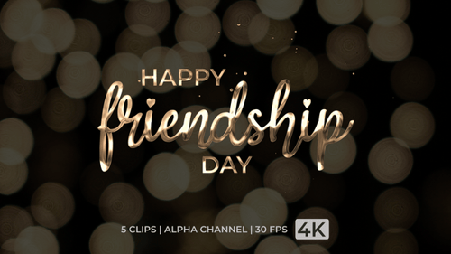 Happy Friendship Day Metallic Gold Text Reveal Animation