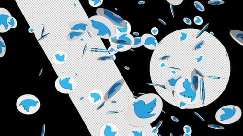 Loops de fundo alfa do logotipo do Twitter
