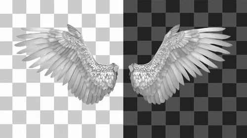 Angel Wings Loop
