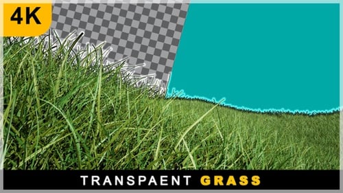 Smooth Drone Zoom In View Of 3D Realistic Render Grass Field On Transparent Background