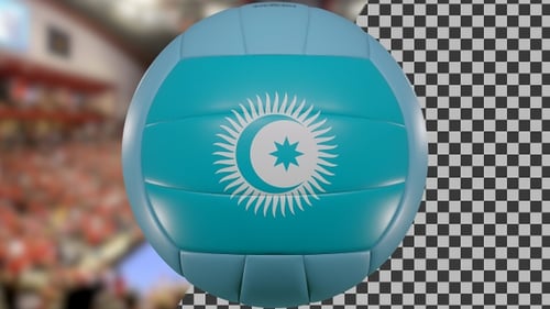 3D Animated Volleyball with Emblem Rotation