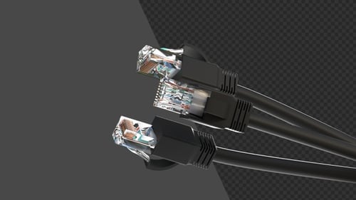 3D Animation of Internet Network RJ45 Ethernet Cables | Alpha Channel