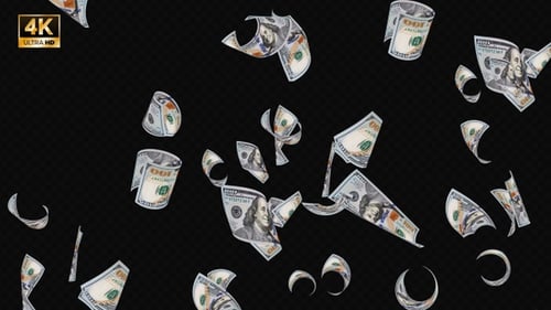 Falling Hundred Dollar Bills Cash Loop with Alpha