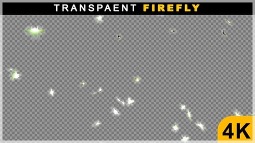Green Color Multi Fireflies Fly Anywhere Animation On Transparent Background