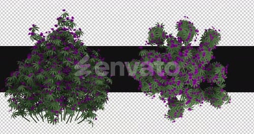 Pack Of 2 Rhododendron Moving In The Wind On Alpha Loop