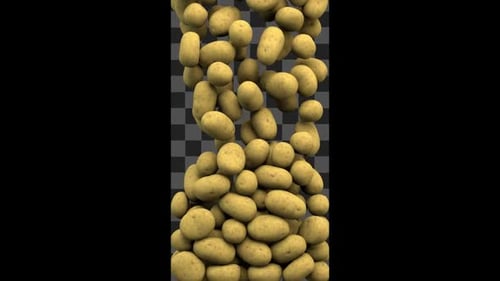 Realistic Falling Potatoes Vertical Transition
