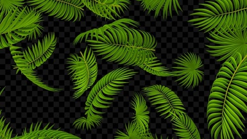 Falling Tropical Palm Leaves Seamless Loop Nature Overlay