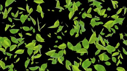 Green Flying leaves leaf CG Realistic 3D .