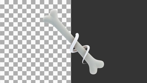 3D Animation of Biological anatomy of the skeleton and bone health | Alpha Channel