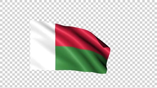 Animated Madagascar Flag Waving Seamless Loop