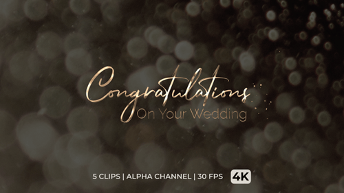 Elegant Handwritten Wedding Congratulations Reveal Animation