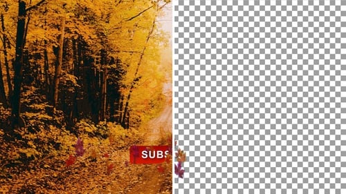 Red Maple Leaf Flying Subscribe Button