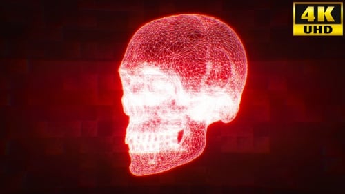 Cyberpunk Skull Holograms Vj Loops V2