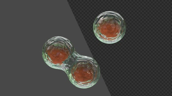 3D Animation of Collagen Molecules Skin Care | Alpha Channel, Elements ...
