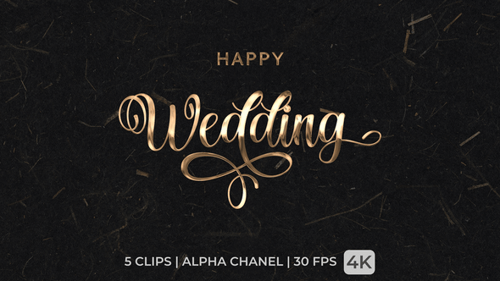 Elegant Happy Wedding Calligraphy Text Animation Pack