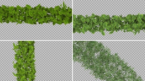 Leaf Transition Pack 4k