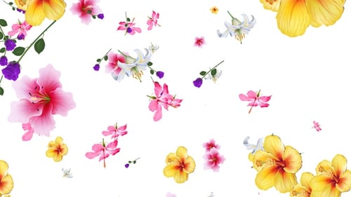 Falling Flowers Seamless Loop Alpha V2