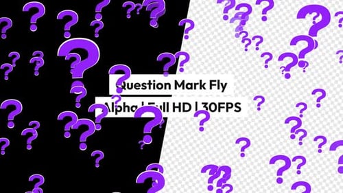 Question Mark Fly