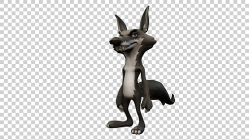 Coyote Cartoon Roll Animation Angle View