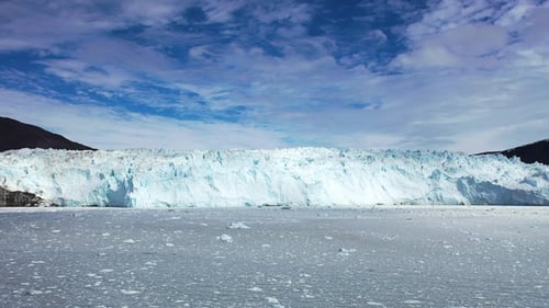 Icebergs float in the water of a remote Greenland fjord under clear skies in summer. Aerial view.