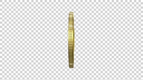 Golden Dash Cryptocurrency Coin Alpha Loop