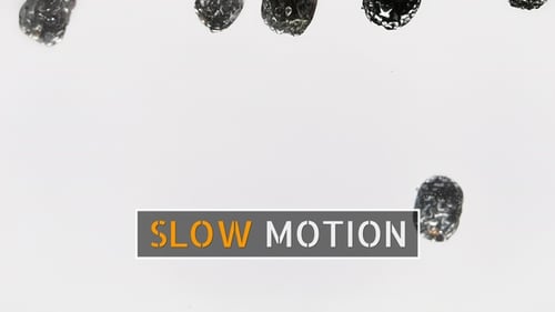 Blackberries Falling Into Clear Liquid in Slow Motion