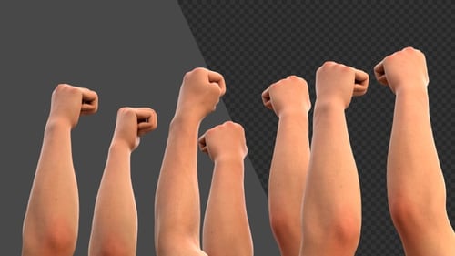 3D Animation of Fists Raised In Protest | Alpha Channel