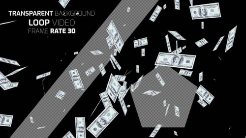Dollar Background Loop Alpha