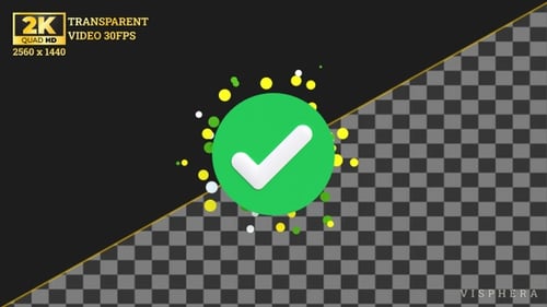 Complete Success Check Animation