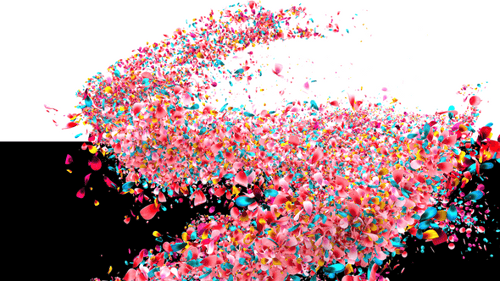 Vibrant Petals Celebration Transition Overlay